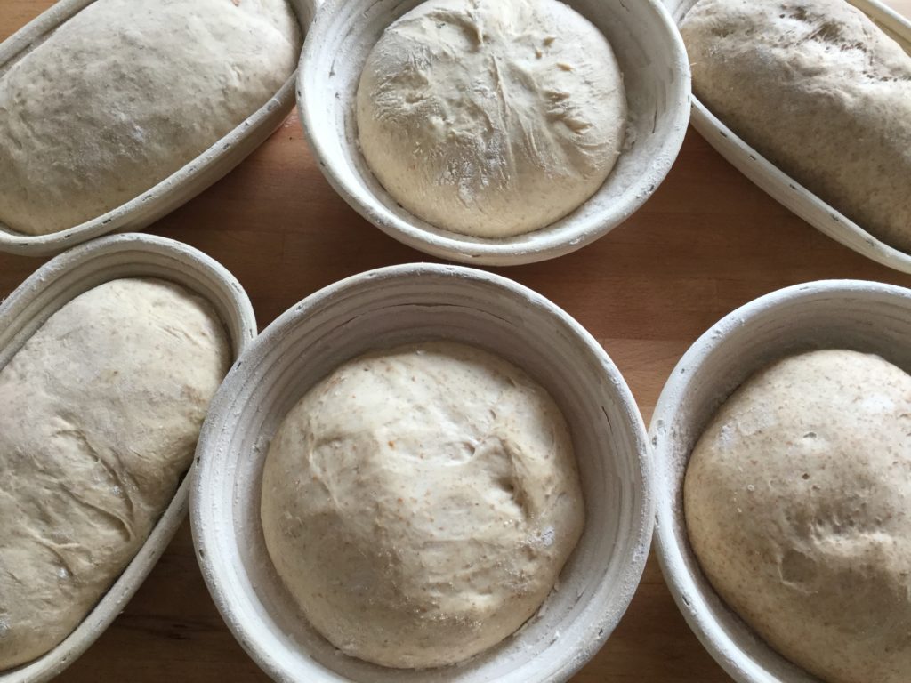 The proving process for our students loaves!