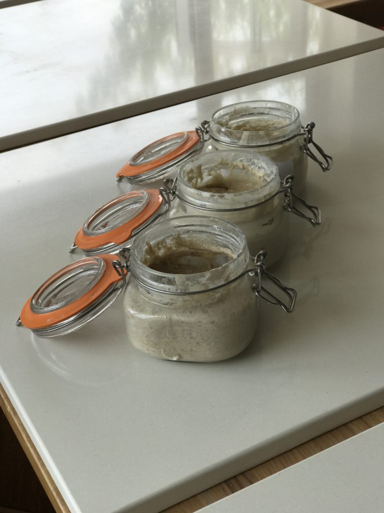 Some sourdough starters ready to go!