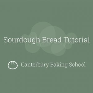 Sourdough Bread Tutorial