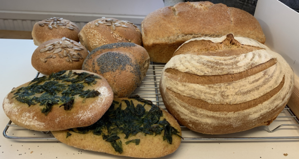 Basic and Artisan Bread - Image 2