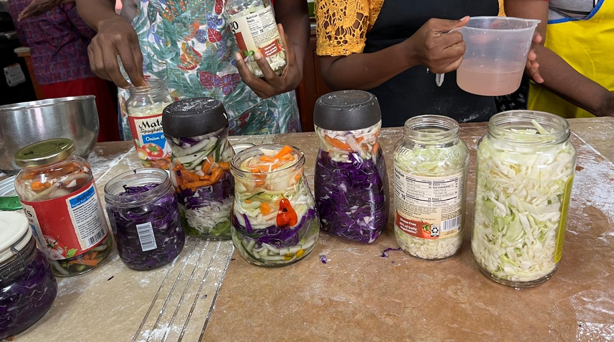 Gut and Fermented vegetables short course - Image 3