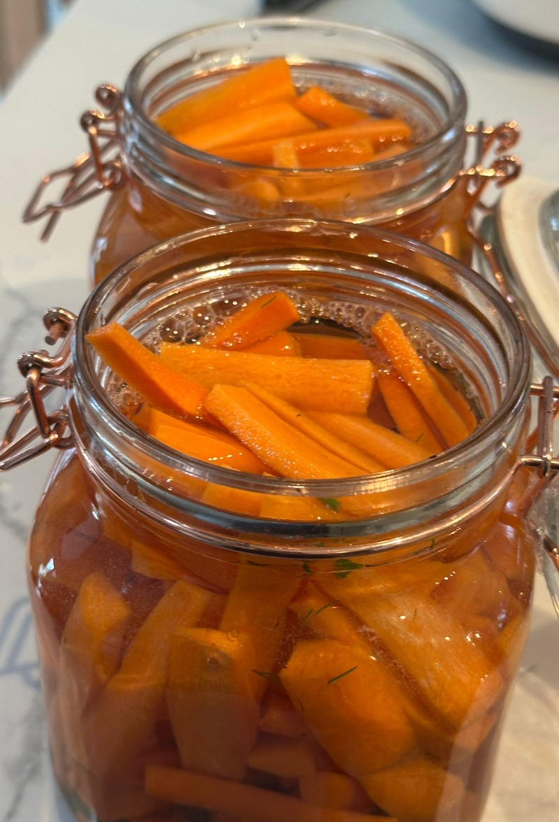 Gut and Fermented vegetables short course - Image 4
