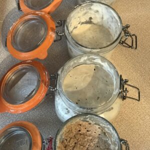 Introduction to Sourdough short course