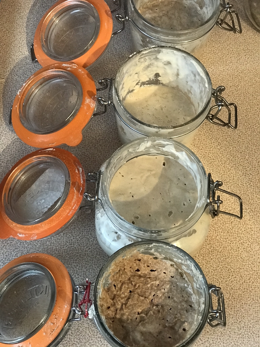 Introduction to Sourdough short course