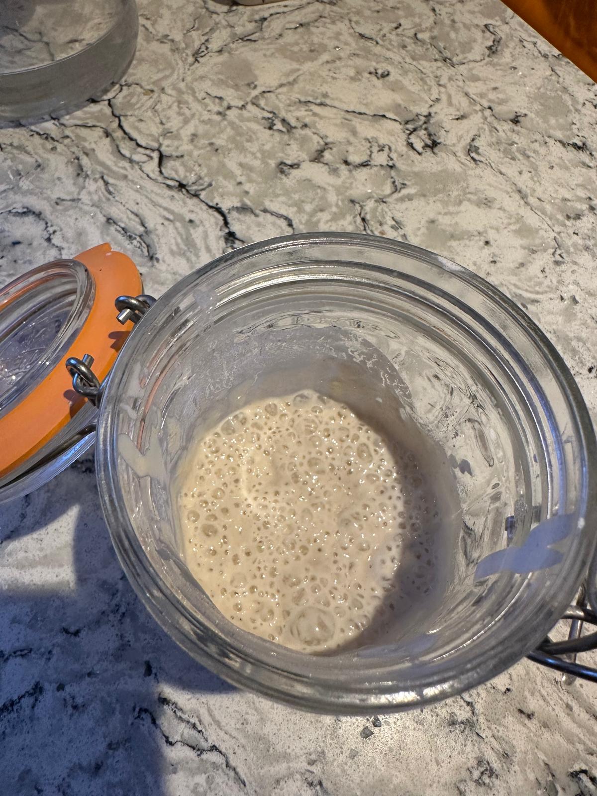 Introduction to Sourdough short course - Image 2