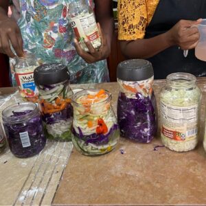 Gut and Fermented vegetables short course