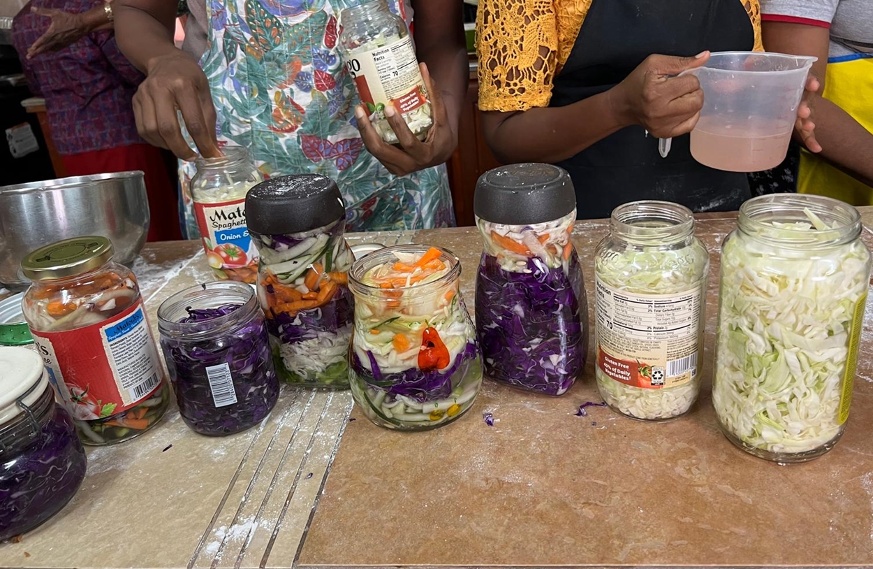 Gut and Fermented vegetables short course