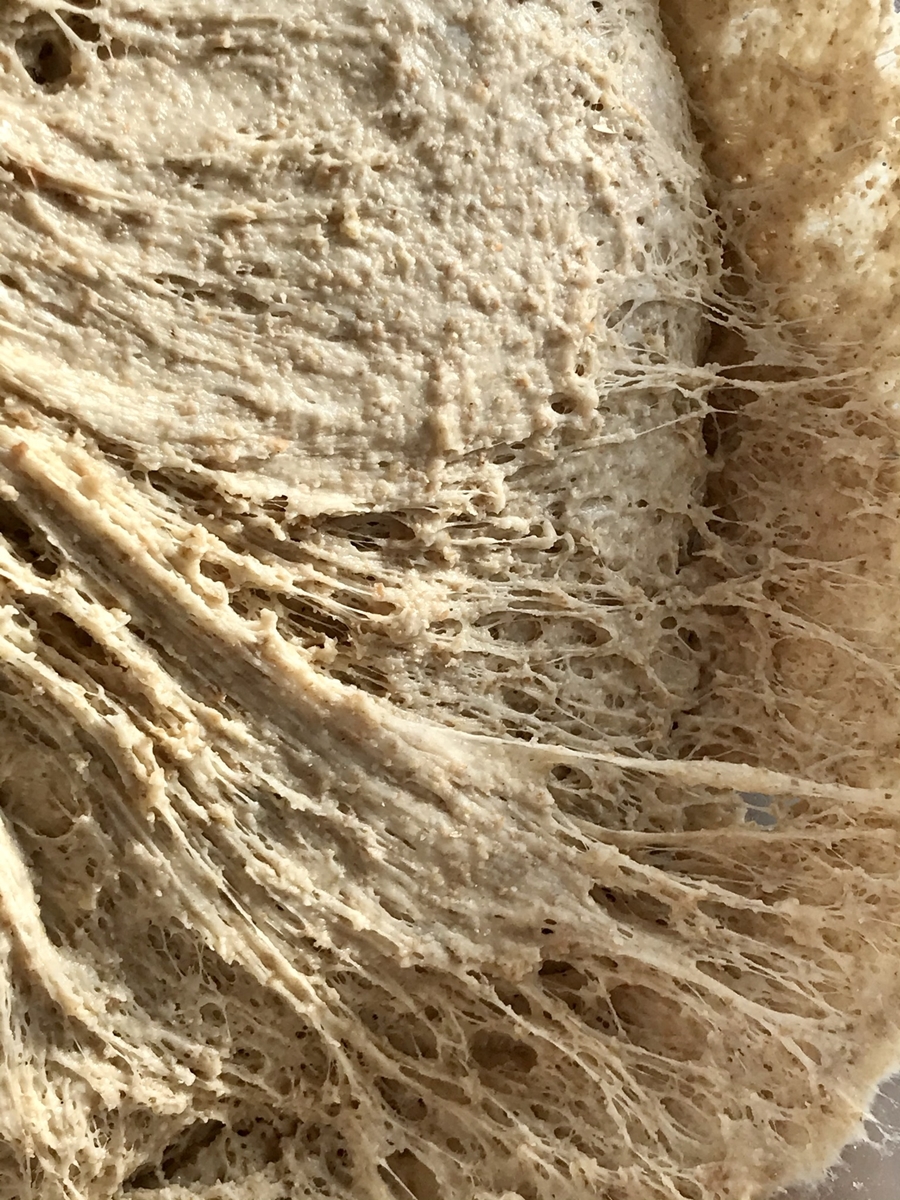 Introduction to Sourdough short course - Image 6